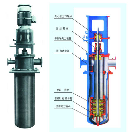 LDTN型立式多級筒袋式凝結(jié)泵